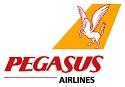 Web Check In Pegasus